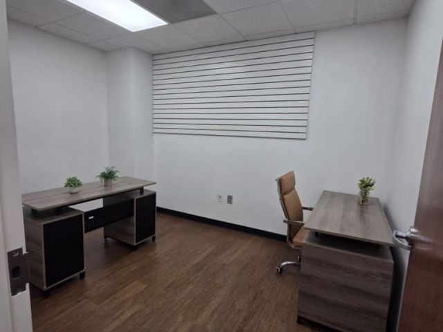 suite-6-white-wood-finish-office